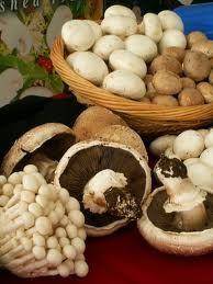 Mushrooms Mushrooms